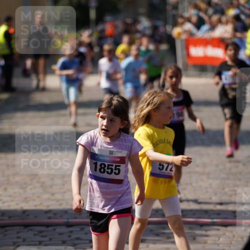 13.06.2025 - Holstenköstenlauf Felixshl http://msf.ph/oto/7922548 13.06.2025 15:38:05 Laufen 36, 42, 272, 421, 426, 428, 429, 572, 675, 834, 1198, 1440, 1855, 1894 meine-sportfotos.de