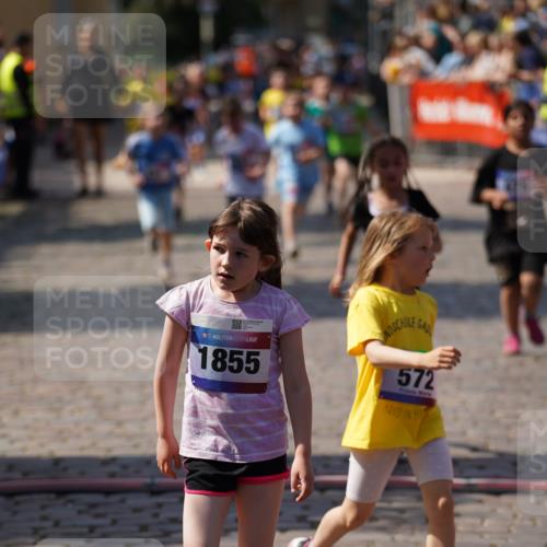 13.06.2025 - Holstenköstenlauf Felixshl http://msf.ph/oto/7922550 13.06.2025 15:38:05 Laufen 36, 42, 272, 421, 426, 428, 429, 572, 675, 834, 1198, 1440, 1855, 1894 meine-sportfotos.de