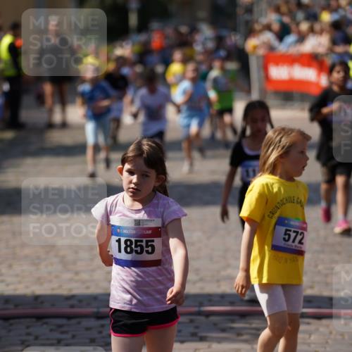 13.06.2025 - Holstenköstenlauf Felixshl http://msf.ph/oto/7922552 13.06.2025 15:38:05 Laufen 36, 42, 272, 421, 426, 428, 429, 572, 675, 834, 1198, 1440, 1855, 1894 meine-sportfotos.de