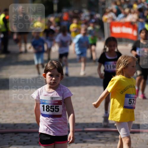 13.06.2025 - Holstenköstenlauf Felixshl http://msf.ph/oto/7922554 13.06.2025 15:38:05 Laufen 36, 42, 272, 421, 426, 428, 429, 572, 675, 834, 1198, 1440, 1855, 1894 meine-sportfotos.de