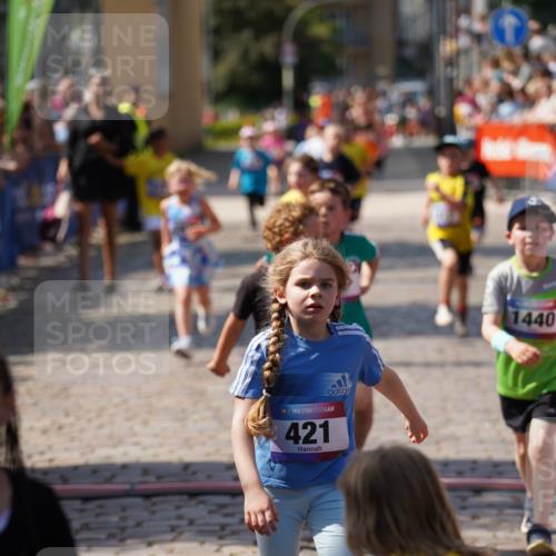 13.06.2025 - Holstenköstenlauf Felixshl http://msf.ph/oto/7922576 13.06.2025 15:38:13 Laufen 36, 272, 417, 419, 421, 560, 564, 834, 1380, 1440, 1825, 1894 meine-sportfotos.de
