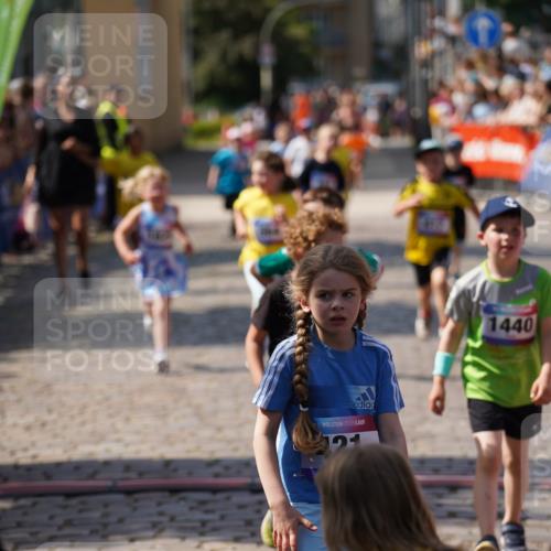 13.06.2025 - Holstenköstenlauf Felixshl http://msf.ph/oto/7922579 13.06.2025 15:38:14 Laufen 36, 417, 419, 421, 560, 564, 670, 1380, 1440, 1825, 1894 meine-sportfotos.de