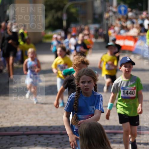 13.06.2025 - Holstenköstenlauf Felixshl http://msf.ph/oto/7922581 13.06.2025 15:38:14 Laufen 36, 417, 419, 421, 560, 564, 670, 1380, 1440, 1825, 1894 meine-sportfotos.de
