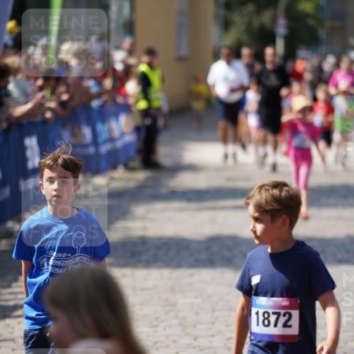13.06.2025 - Holstenköstenlauf Felixshl http://msf.ph/oto/7922676 13.06.2025 15:38:34 Laufen 33, 98, 1159, 1192, 1435, 1870, 1872, 1929 meine-sportfotos.de