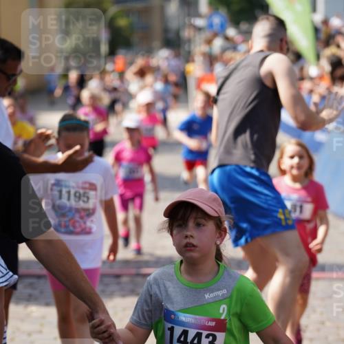 13.06.2025 - Holstenköstenlauf Felixshl http://msf.ph/oto/7922746 13.06.2025 15:38:48 Laufen 81, 87, 101, 271, 278, 431, 565, 569, 677, 678, 948, 1195, 1201, 1846, 1897 meine-sportfotos.de