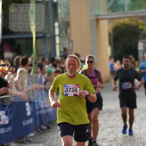 13.06.2025 - Holstenköstenlauf Felixshl http://msf.ph/oto/7923667 13.06.2025 19:55:17 Laufen 2280, 2420, 2424, 2644, 2710, 2719, 3739 meine-sportfotos.de