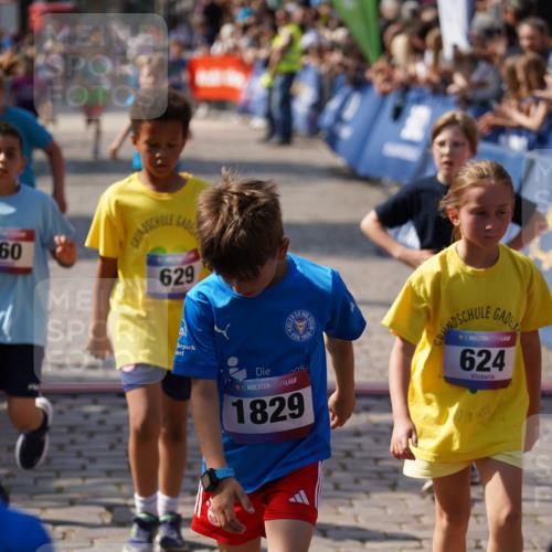 13.06.2025 - Holstenköstenlauf Felixshl http://msf.ph/oto/7924933 13.06.2025 16:22:08 Laufen 14, 345, 360, 496, 624, 629, 752, 996, 1391, 1428, 1432, 1826, 1829, 1942 meine-sportfotos.de
