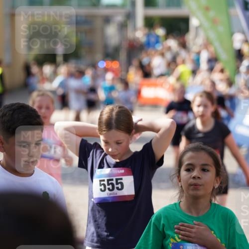 13.06.2025 - Holstenköstenlauf Felixshl http://msf.ph/oto/7927244 13.06.2025 16:52:39 Laufen 71, 72, 257, 403, 535, 538, 542, 800, 803, 1253 meine-sportfotos.de