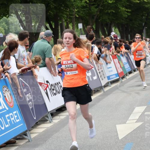 15.06.2025 - REWE Women's Run Strokosch-Dieckow http://msf.ph/oto/7931579 15.06.2025 10:58:20 Ziel 5328, 5368, 5442, 5648 meine-sportfotos.de