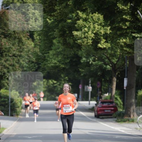 15.06.2025 - REWE Women's Run Jannik Wohlers http://msf.ph/oto/7936367 15.06.2025 08:42:38 Laufen 10248 meine-sportfotos.de