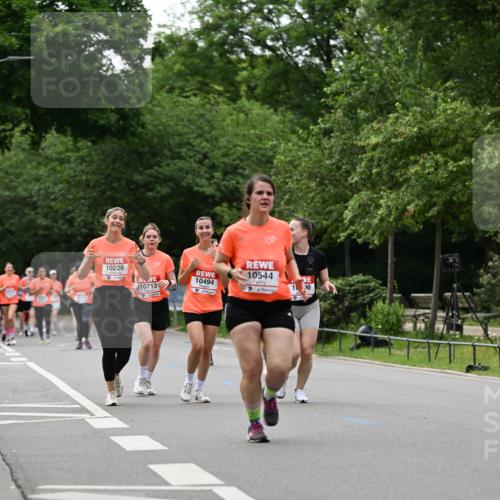 15.06.2025 - REWE Women's Run Dr. Thomas Lammeyer http://msf.ph/oto/7939120 15.06.2025 09:20:25 Laufen 10226, 10544, 10494, 10713 meine-sportfotos.de