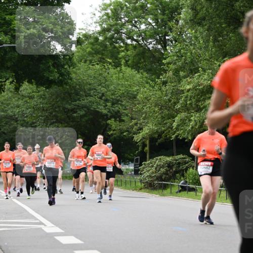 15.06.2025 - REWE Women's Run Dr. Thomas Lammeyer http://msf.ph/oto/7939363 15.06.2025 09:20:30 Laufen  meine-sportfotos.de