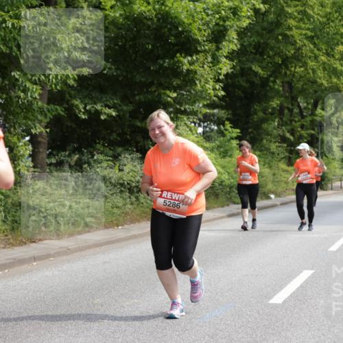 15.06.2025 - REWE Women's Run Jannik Wohlers http://msf.ph/oto/7940198 15.06.2025 10:15:00 Laufen 5286, 0, 5627, 5232 meine-sportfotos.de