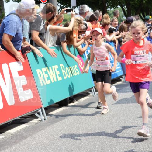 15.06.2025 - REWE Women's Run Strokosch-Dieckow http://msf.ph/oto/7942520 15.06.2025 11:34:58 Ziel 113, 116, 123, 124, 135, 160, 162, 165, 213, 216, 231, 233, 250, 287, 290, 312, 316, 323 meine-sportfotos.de