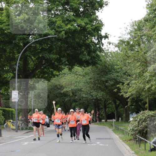 15.06.2025 - REWE Women's Run Jannik Wohlers http://msf.ph/oto/7946347 15.06.2025 08:30:00 Laufen 10634 meine-sportfotos.de