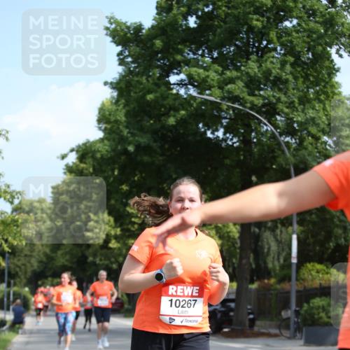 15.06.2025 - REWE Women's Run Jannik Wohlers http://msf.ph/oto/7948349 15.06.2025 09:46:45 Laufen 10267 meine-sportfotos.de