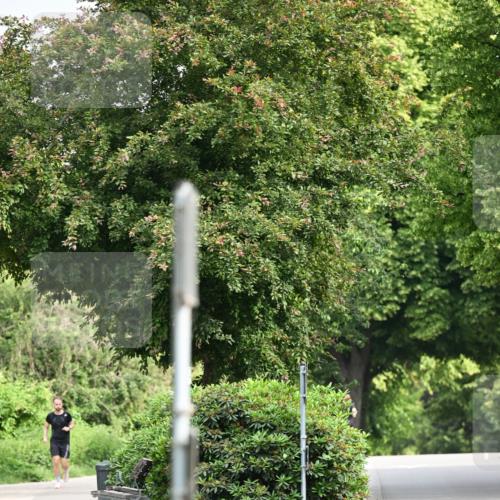 15.06.2025 - REWE Women's Run Dr. Thomas Lammeyer http://msf.ph/oto/7948452 15.06.2025 09:29:26 Laufen  meine-sportfotos.de