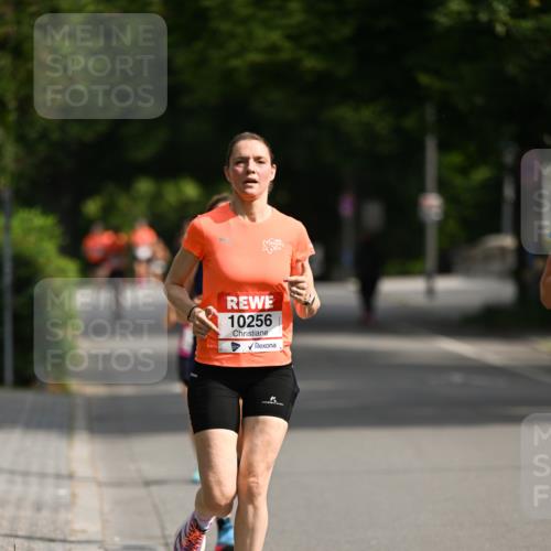 15.06.2025 - REWE Women's Run Dr. Thomas Lammeyer http://msf.ph/oto/7950336 15.06.2025 09:35:45 Laufen 10256 meine-sportfotos.de