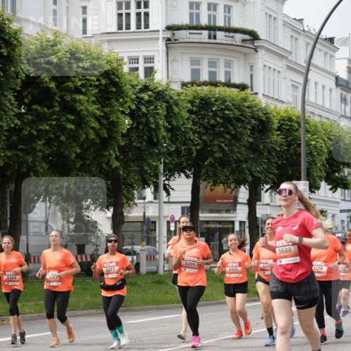 15.06.2025 - REWE Women's Run Jannik Wohlers http://msf.ph/oto/7959530 15.06.2025 09:44:56 Laufen 5688, 5399, 5277, 538, 5450, 5379, 5292, 4, 5564, 5683, 4 meine-sportfotos.de
