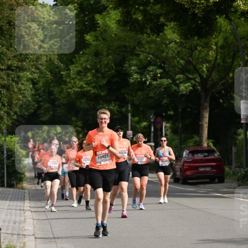 15.06.2025 - REWE Women's Run Dr. Thomas Lammeyer http://msf.ph/oto/7960069 15.06.2025 09:49:29 Laufen 10239, 10421, 10747 meine-sportfotos.de
