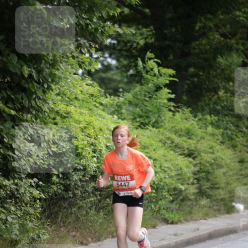 15.06.2025 - REWE Women's Run Jannik Wohlers http://msf.ph/oto/7966641 15.06.2025 10:01:47 Laufen 5447 meine-sportfotos.de