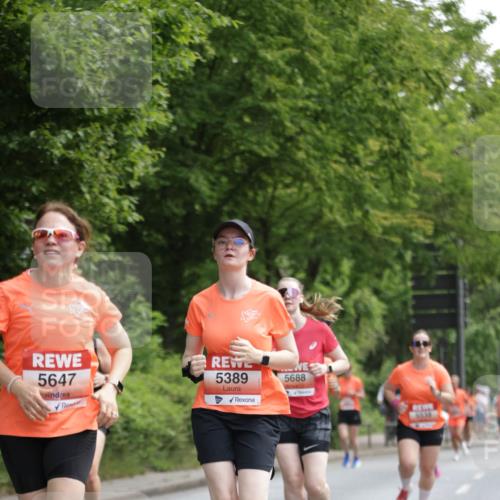 15.06.2025 - REWE Women's Run Jannik Wohlers http://msf.ph/oto/7972735 15.06.2025 10:07:24 Laufen 5647, 5389, 5688, 6538 meine-sportfotos.de