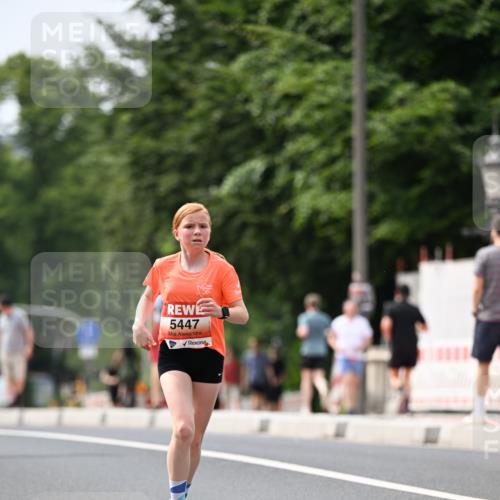 15.06.2025 - REWE Women's Run Dr. Thomas Lammeyer http://msf.ph/oto/7975737 15.06.2025 10:40:59 Laufen 5447 meine-sportfotos.de