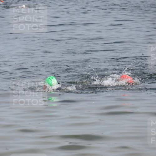 15.06.2025 - 27. Vierlanden-Triathlon Lena Gebhardt http://msf.ph/oto/8004917 15.06.2025 10:02:24 Schwimmen 317 meine-sportfotos.de