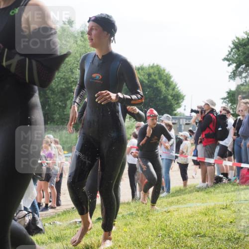 15.06.2025 - 27. Vierlanden-Triathlon KatJ http://msf.ph/oto/8014080 15.06.2025 10:15:02 Schwimmen 476, 521, 525, 528, 570, 592, 593, 605, 608, 1397 meine-sportfotos.de