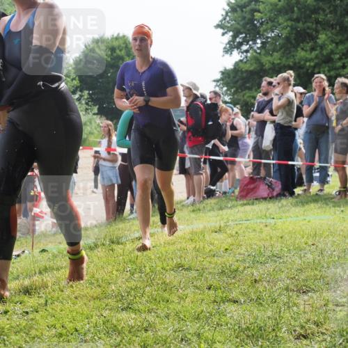 15.06.2025 - 27. Vierlanden-Triathlon KatJ http://msf.ph/oto/8015581 15.06.2025 10:15:37 Schwimmen 508, 509, 511, 554, 620 meine-sportfotos.de