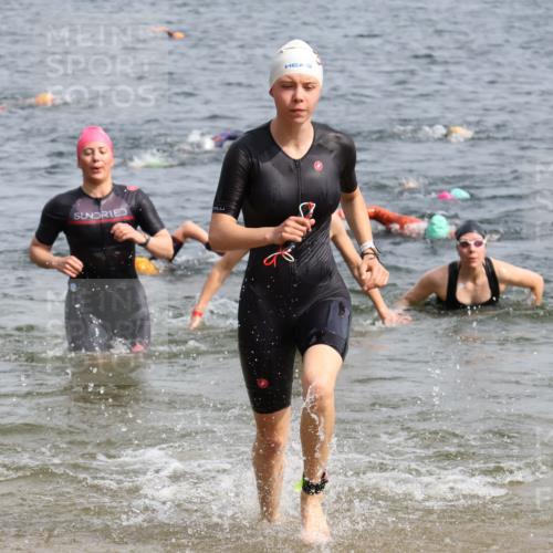 15.06.2025 - 27. Vierlanden-Triathlon Lena Gebhardt http://msf.ph/oto/8015922 15.06.2025 10:15:13 Schwimmen 480, 507, 542, 555, 579, 587, 597, 613, 631, 635 meine-sportfotos.de