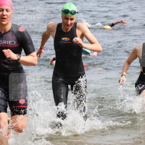 15.06.2025 - 27. Vierlanden-Triathlon Lena Gebhardt http://msf.ph/oto/8016127 15.06.2025 10:15:17 Schwimmen 480, 507, 542, 554, 555, 579, 587, 613, 631, 635 meine-sportfotos.de