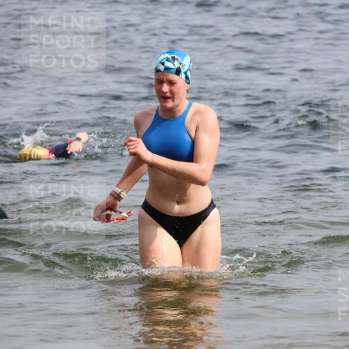 15.06.2025 - 27. Vierlanden-Triathlon Lena Gebhardt http://msf.ph/oto/8018349 15.06.2025 10:16:39 Schwimmen 491, 501, 516, 549, 604, 633 meine-sportfotos.de