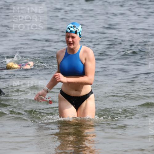 15.06.2025 - 27. Vierlanden-Triathlon Lena Gebhardt http://msf.ph/oto/8018368 15.06.2025 10:16:40 Schwimmen 491, 501, 516, 549, 604, 633 meine-sportfotos.de