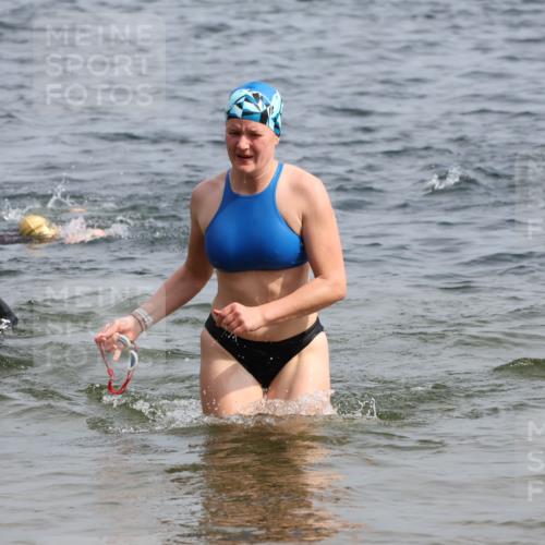 15.06.2025 - 27. Vierlanden-Triathlon Lena Gebhardt http://msf.ph/oto/8018382 15.06.2025 10:16:40 Schwimmen 491, 501, 516, 549, 604, 633 meine-sportfotos.de