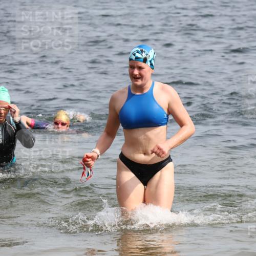 15.06.2025 - 27. Vierlanden-Triathlon Lena Gebhardt http://msf.ph/oto/8018410 15.06.2025 10:16:40 Schwimmen 491, 501, 516, 549, 604, 633 meine-sportfotos.de