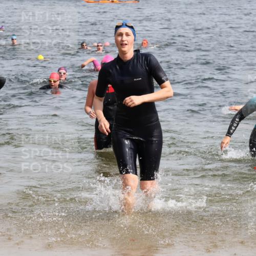 15.06.2025 - 27. Vierlanden-Triathlon Lena Gebhardt http://msf.ph/oto/8018490 15.06.2025 10:16:42 Schwimmen 501, 516, 549, 595, 604, 633 meine-sportfotos.de