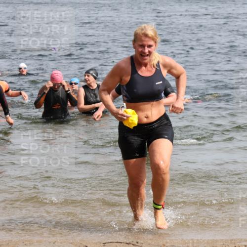 15.06.2025 - 27. Vierlanden-Triathlon Lena Gebhardt http://msf.ph/oto/8019541 15.06.2025 10:17:18 Schwimmen 510, 529, 556, 575, 581, 582, 584, 594 meine-sportfotos.de