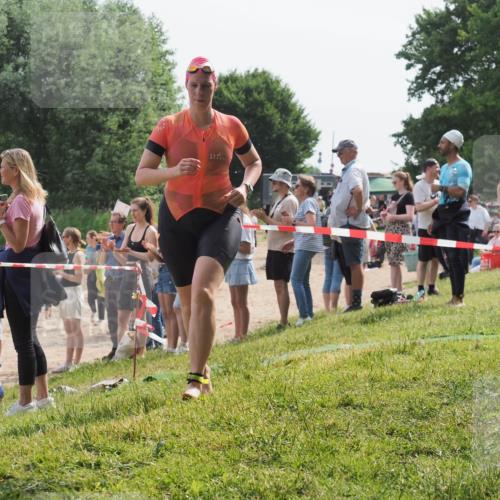 15.06.2025 - 27. Vierlanden-Triathlon KatJ http://msf.ph/oto/8019725 15.06.2025 10:19:17 Schwimmen 474, 478, 498, 543, 558 meine-sportfotos.de