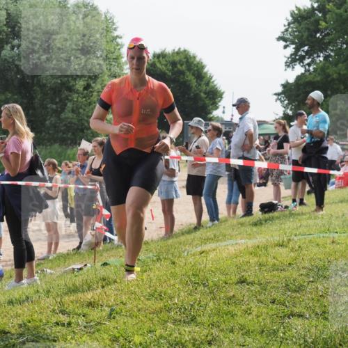 15.06.2025 - 27. Vierlanden-Triathlon KatJ http://msf.ph/oto/8019733 15.06.2025 10:19:17 Schwimmen 474, 478, 498, 543, 558 meine-sportfotos.de