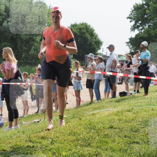 15.06.2025 - 27. Vierlanden-Triathlon KatJ http://msf.ph/oto/8019753 15.06.2025 10:19:17 Schwimmen 474, 478, 498, 543, 558 meine-sportfotos.de