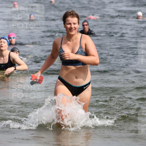 15.06.2025 - 27. Vierlanden-Triathlon Lena Gebhardt http://msf.ph/oto/8020859 15.06.2025 10:18:12 Schwimmen 515, 550, 568, 586, 629 meine-sportfotos.de