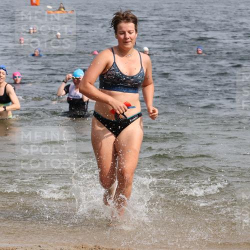 15.06.2025 - 27. Vierlanden-Triathlon Lena Gebhardt http://msf.ph/oto/8020995 15.06.2025 10:18:14 Schwimmen 515, 535, 550, 568, 586, 629 meine-sportfotos.de