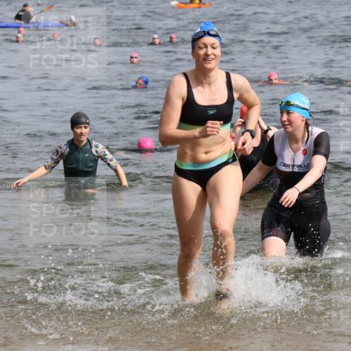 15.06.2025 - 27. Vierlanden-Triathlon Lena Gebhardt http://msf.ph/oto/8021203 15.06.2025 10:18:20 Schwimmen 495, 535, 568, 586 meine-sportfotos.de