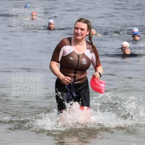 15.06.2025 - 27. Vierlanden-Triathlon Lena Gebhardt http://msf.ph/oto/8021909 15.06.2025 10:19:13 Schwimmen 474, 478, 498, 543, 558 meine-sportfotos.de