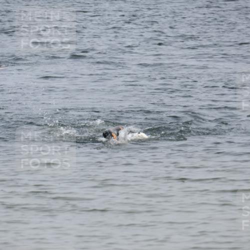 15.06.2025 - 27. Vierlanden-Triathlon Lena Gebhardt http://msf.ph/oto/8032083 15.06.2025 11:13:31 Schwimmen  meine-sportfotos.de
