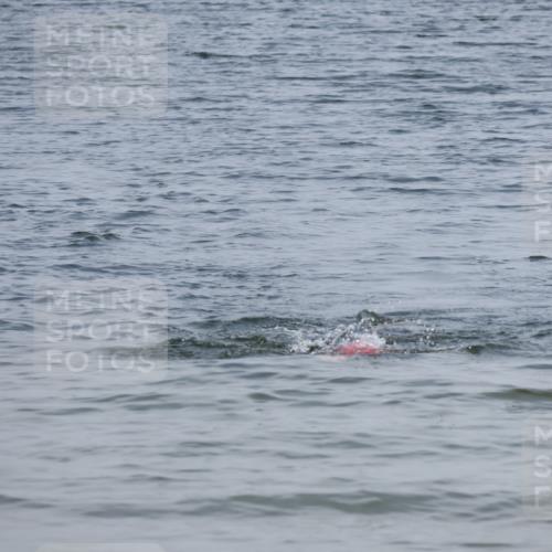 21.06.2025 - 27. Vierlanden-Triathlon Lena Gebhardt http://msf.ph/oto/8035767 15.06.2025 11:24:31 Schwimmen  meine-sportfotos.de