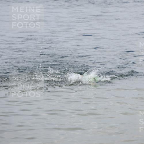 21.06.2025 - 27. Vierlanden-Triathlon Lena Gebhardt http://msf.ph/oto/8036518 15.06.2025 11:59:25 Schwimmen  meine-sportfotos.de