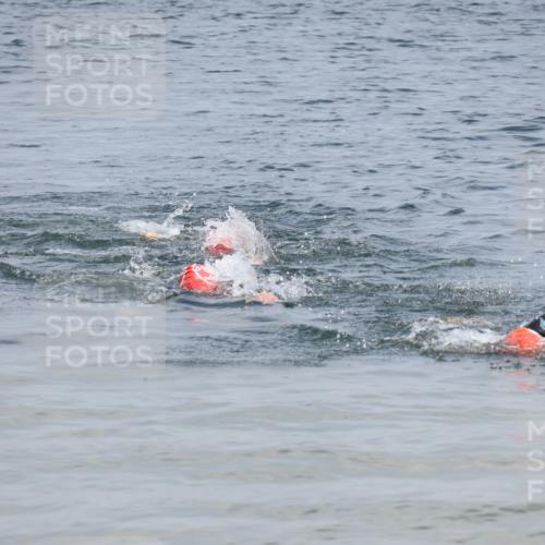 21.06.2025 - 27. Vierlanden-Triathlon Lena Gebhardt http://msf.ph/oto/8036571 15.06.2025 12:00:14 Schwimmen  meine-sportfotos.de