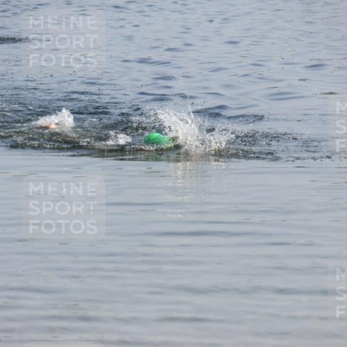15.06.2025 - 27. Vierlanden-Triathlon Lena Gebhardt http://msf.ph/oto/8043263 15.06.2025 08:30:09 Schwimmen  meine-sportfotos.de